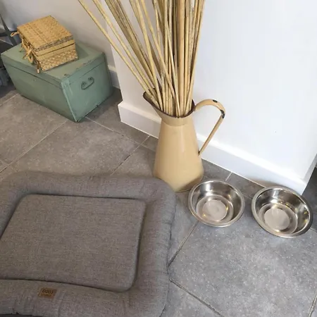 Villa Maison Proche De Pairi Daiza Soignies